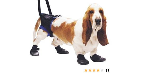 walkabout rear harness