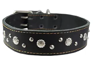 Thick Genuine Leather Studded Dog Collar2 Wide Black Sized to Fit 19-22 Neck. Retriever, Doberman, Rottweiler, Pit Bull