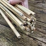 100 Stück Bambusstäbe - Tonkinstäbe 120 cm/10-12 mm