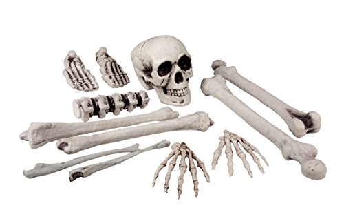 Boland 74391 – Skelett Bausatz, 12 Knochen - 2