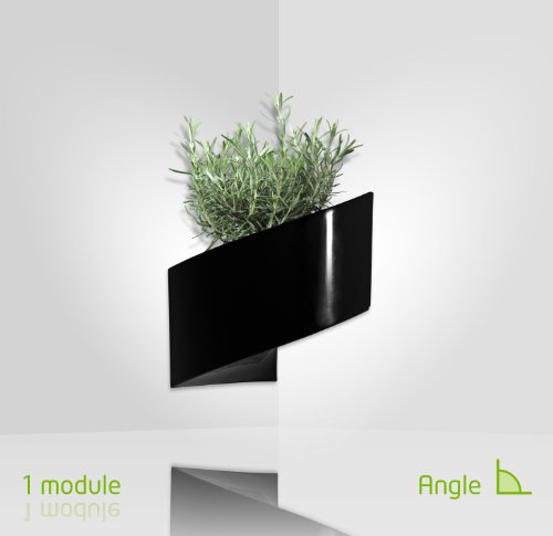 Modul’Green – Designer blumentopf für Wände – drinnen & draußen – schwarz - 2