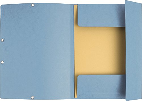 Exacompta 55510E - Carpetas con gomas y 3 solapas de cartulina lustrada  A4  colores surtidos   10 unidades