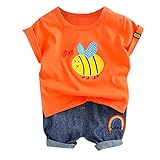 baby wollfleece hose engel ❤️ babykleidung harry potter bio babykleidung babykleidung sprüche babykleidung weihnachten babykleidung set mädchen babykleidung jungen 68 babykleidung disney witzige babykleidung babykleidung zwillinge vintage babykleidung babykleidung 68 babykleidung 42 babykleidung nähen mit schnittmuster babykleidung gr 50 babykleidung lustig babykleidung gr 44 babykleidung mädchen 80 babykleidung neugeborene unisex babykleidung taufe junge babykleidung fuchs babykleidung jungs bügel für babykleidung