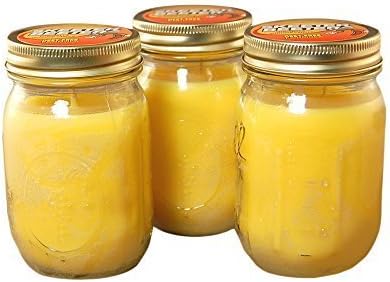 12oz Citronella Mason Jars- Set of 3 by JH Specialties Inc