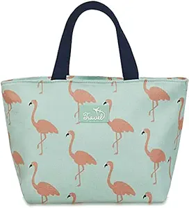 LEVGRY Insulated Bags to Carry Food, Fabric Lunch Boxes, Thermal to Keep Cold and Heat, Waterproof, for Women and Children, for Schools, Offices, Travel and Work (Multi)