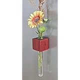 Magnetvase Padouk Blumenvase Test Tube Vase