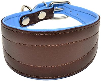 ZOOLESZCZ BROWN with BABY BLUE lining Handmade GREYHOUND SALUKI LURCHER WHIPPET LEATHER DOG PUPPY COLLAR … (14")