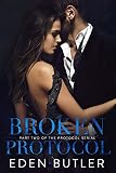 Cover zum Buch Broken Protocol