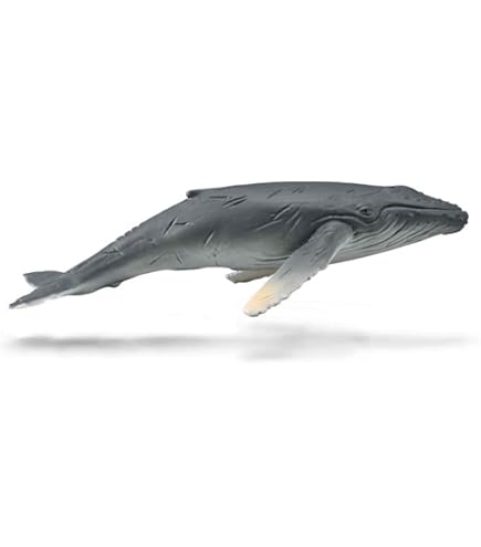 シュライヒ Schleich ザトウクジラ Humpback Whale シュライヒ Schleich ザトウクジラ Humpback Whale Amazon.co.jp