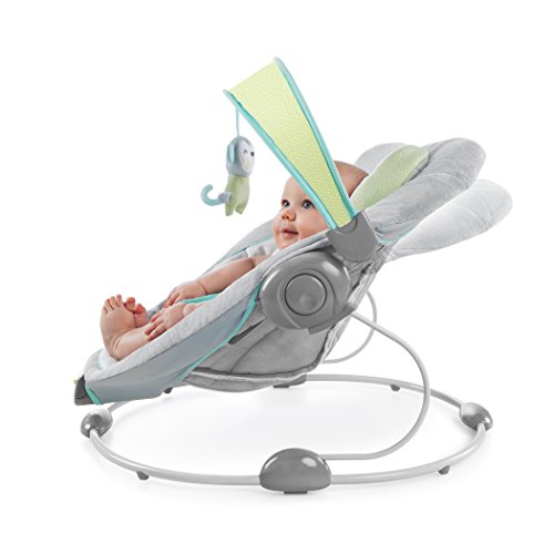 Ingenuity 60389 Soothe and Delight Bouncer – Savvy Safari - 5