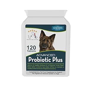 Advanced Probiotic Plus für Hunde (ein hochentwickeltes probiotisches Ergänzungsmittel), mit 5 ...