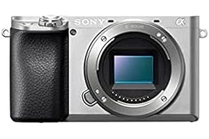 Sony ILCE6100LS.CEC Alpha 6100 Cámara Evil APS-C con Objetivo Zoom Potente, Color Plata, Sin Tarjeta