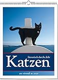 Katzen - Literarisch durchs Jahr 2020: Wochenwandkalender 53 Farbfotografien by 