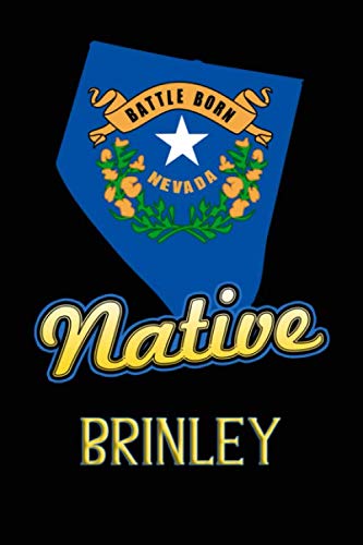 Preisvergleich Produktbild Nevada Native Brinley: College Ruled / Composition Book