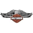Stickers Rétro-réfléchissants Pour Casque Harley Davidson - Blanc - Dimensions 7,5 X 5,5 Cm