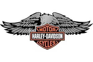 SUPER FABRIQUE Reflektierende Aufkleber für Harley Davidson Helm, Adler