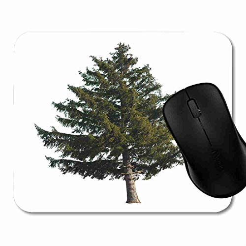 Preisvergleich Produktbild Mauspad Stamm-grünes Kiefern-immergrüner Baum-weißes Weihnachten Rutschfeste Gummi Basis Mouse pad, Gaming und Office mauspad für Laptop, Computer PC 1H2032