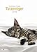 Produktbild Tatzentiger 2018 - Wandkalender A3, Tierkalender, Katzenkalender 2018  -  29,7 x 42