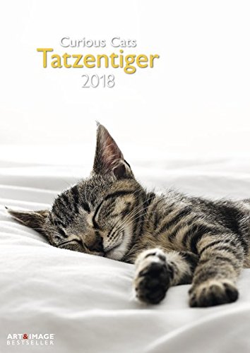 Preisvergleich Produktbild Tatzentiger 2018 - Wandkalender A3, Tierkalender, Katzenkalender 2018 - 29,7 x 42