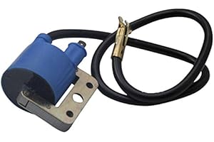 R4R C4 180315 BOBINA ADATTABILE COMPATIBILE CON PIAGGIO CIAO