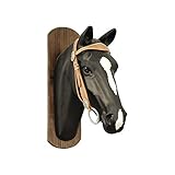  pool\' S Brida con riendas frente largo iluminación y tachuelas, CUOIO NATURALE, -