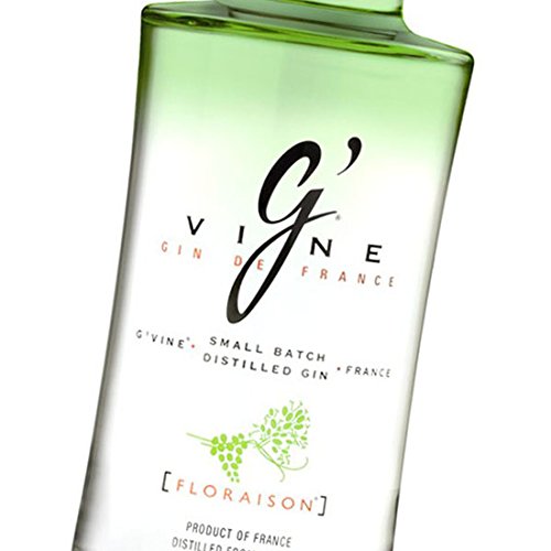 Ginevra G 'Vine Floraison
