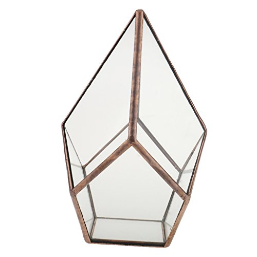 Luft Pflanzer Mini Glasterrarium Geometrisches Glas Sukkulente Pflanzgefäß Haus Dekoration 16x16x25cm – Kupfer - 5