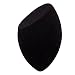 JennaTM Cosmetics Professional Beauty Blender Sponge - Maverick Series (Black Olive Oblique Shape) RS.399.00