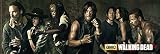fnac merchandising the walking dead Póster de puerta, nuevo. Empire Merchandising 672384 The Walking Dead, Season 5, para Puerta de la película de la película de Serie de televisión, de tamaño de 158 x 53 cm