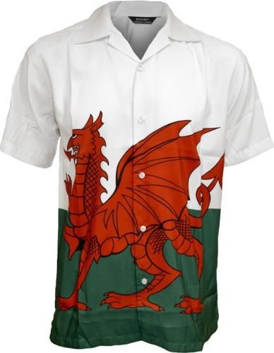 Welsh Flag Dress Adult Fancy Dress Costume [BQ030977] : Karnival ...