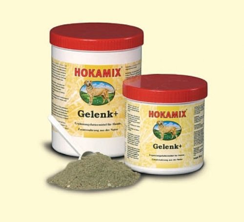 Preisvergleich Produktbild Grau Hokamix 30 Gelenk+ als Pulver - 300g