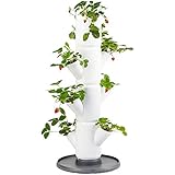 GUSTA GARDEN Sissi Strawberry (Starter, weiß) - Pflanzgefäß/Topf/Pflanzturm/Hochbeet für Erdbeeren - für Balkon, Garten und T