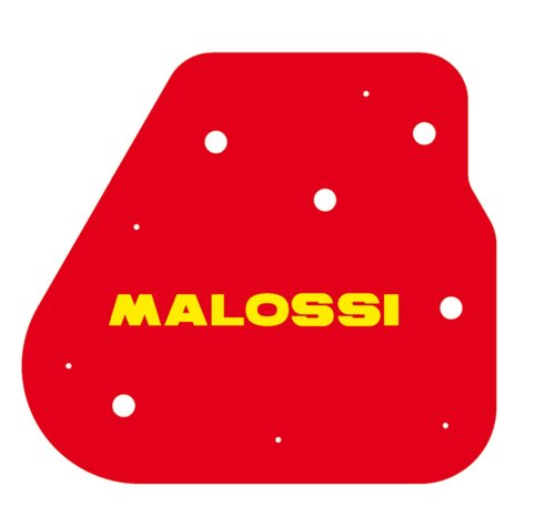 Luftfiltereinsatz MALOSSI für CPI/EXPLORER/GARELLI /HUPPER/KEEWAY/MOTOWELL Aragon GP/Hussar/Oliver/Popcorn /Cracker/TS/Montecarlo /Act /Goccia/Hurricane/Pixel/RY8 /Crogen/Magnet/Magnet Sport /Magnet RS für QMB Motor