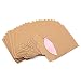 Produktbild Zhi Jin 20 Stück Single DVD/CD Papier Ärmel Einfache Craft Disc Sleeve Speicher Halter 12,7 cm, Kraft Paper