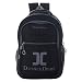 Dussledorf Polyester 18 Liters Black And Grey 2 Compartment 12.00 " Backpack RS.599.00