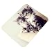 Clapcart Cats Design Printed Rubber Base Mat finish Mouse Pad For PC / Laptop - Multicolor RS.109.00