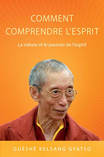 Télécharger Comment Comprendre l'esprit: La nature et le pouvoir de l'esprit Livre PDF Gratuit