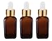10 Ml (0.33 Fl Oz) Square Amber Glass Bottle With Glass Dropper for Essential Oils (3 Bottles) RS.449.00