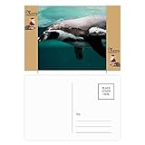 Größe: 14,6 cm x 9,8 cm. Postkarte mit Pinguin-Wasserbild, Motiv: Weihnachtsmann, Dunkelblau, 20 Stück