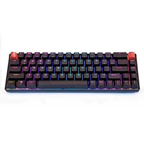 Taide 68 Teclas RGB Mini Keybaord, portátil Compacto 68 Teclas 100% Anti-Ghosting para PC, Mac con Cable USB-C Cable Teclado mecánico Blue Switch