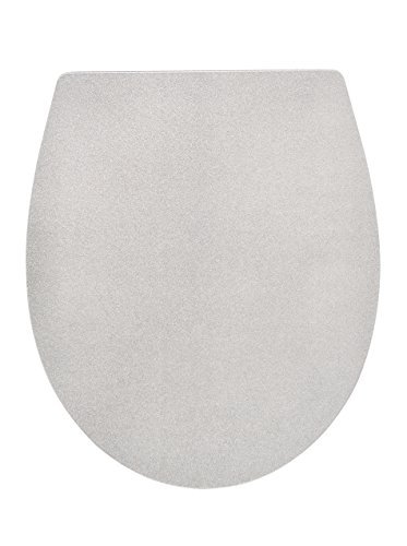 Preisvergleich Produktbild RIDDER WC-Sitz Danzig mit Soft-Close Silber