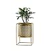 Produktbild SPFOZ Blumenständer Flower Stand/Multi-Funktions-Desktop Metall Flower Pot Holder/Balkonboden Pflanzenständer Schwarz/Gold (Color : Gold, Size : 17×24cm)
