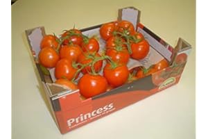 LIEFERFRUCHT Staruchtomaten frisch 5 kg Karton zum Sonderpreis
