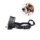 Eficaz para evitar cortes de perro, picaduras, más seguridad al aire libre.