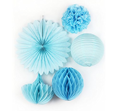 SUNBEAUTY Blau Set Papier Blumen PomPoms Wabenball LampionGeburtstag Babyshower Dekoration