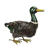 Este hermoso drenaje macho, fabricado por Primus, muestra las mejores características de la raza. La cabeza brillante verde de la botella se destaca por ese distintivo collar blanco. Las plumas de pecho marrones parecen ofrecer un toque casi morado, y la factura es una fusión de naranja y amarillo.