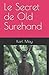 Produktbild Le Secret de Old Surehand