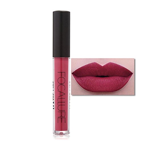 Vovotrade FOCALLURE Neue Partei-Frauen-Art- und Weiselippenstift-Kosmetik-Lippenmatten-Lipgloss_E