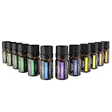 Anjou Essential Oils Set (12 x 5 mL Oils, 100 Percent Pure Lavender, Sweet Orange, Tea Tree, Eucalyptus, Lemongrass, Peppermint, Bergamot, Frankincense, Lemon, Rosemary, Cinnamon, and Ylang-Ylang)