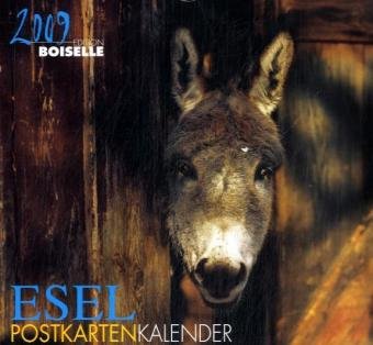 Esel Postkartenkalender 2009: Mohn Media